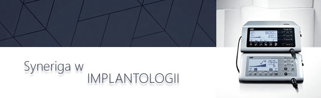 synergy_baner